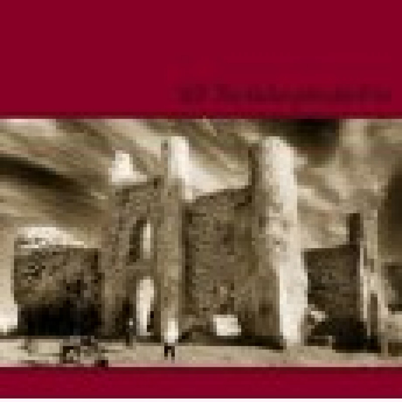 U 2 - The Unforgettable Fire, VINYL