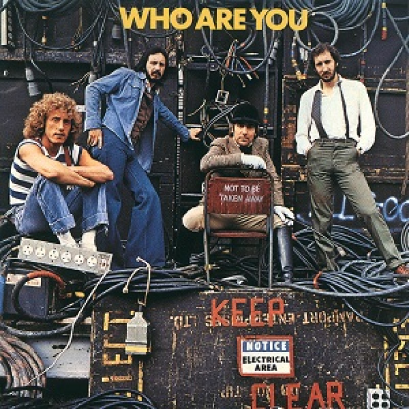 Who The - Who Are You, VINYL