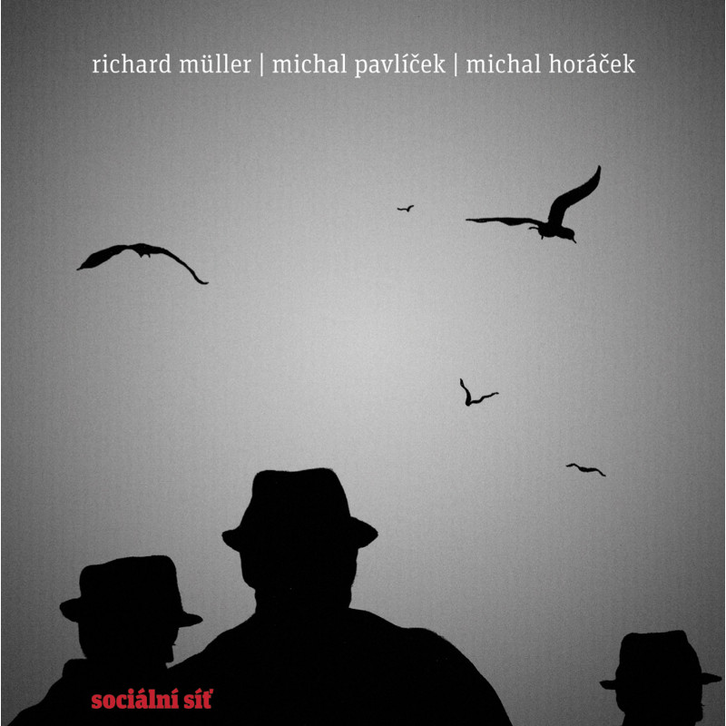Muller Richard - Socialni Sit, VINYL