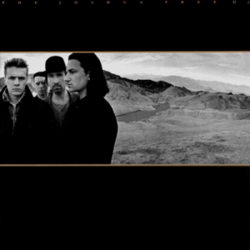 U 2 - The Joshua Tree, VINYL