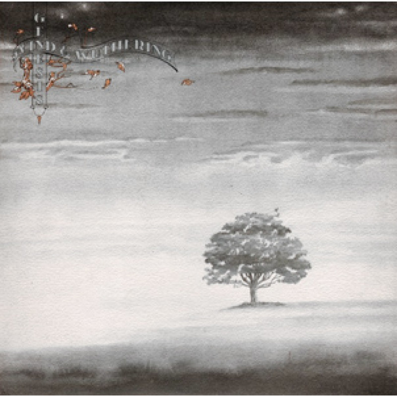 Genesis - Wind And Wuthering, VINYL