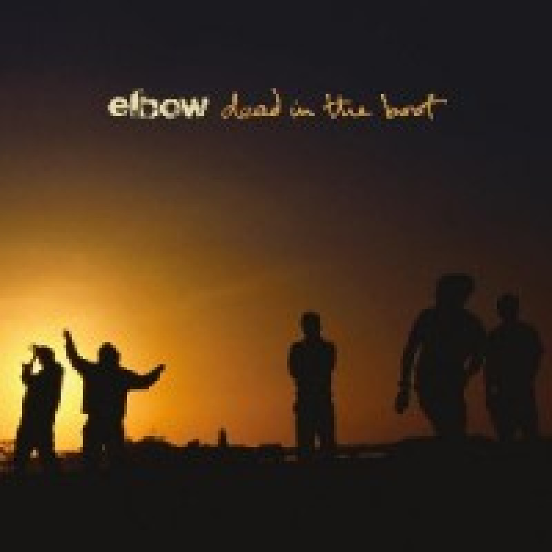 Elbow - Dead In The Boot, VINYL