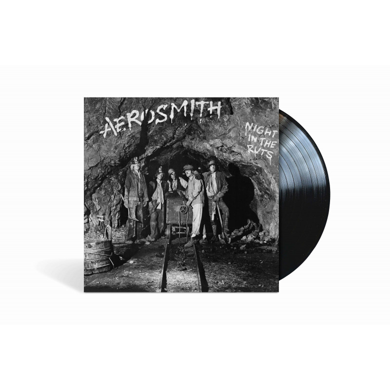 Aerosmith - Night In The Ruts, VINYL